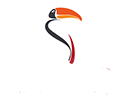 Arasari logo