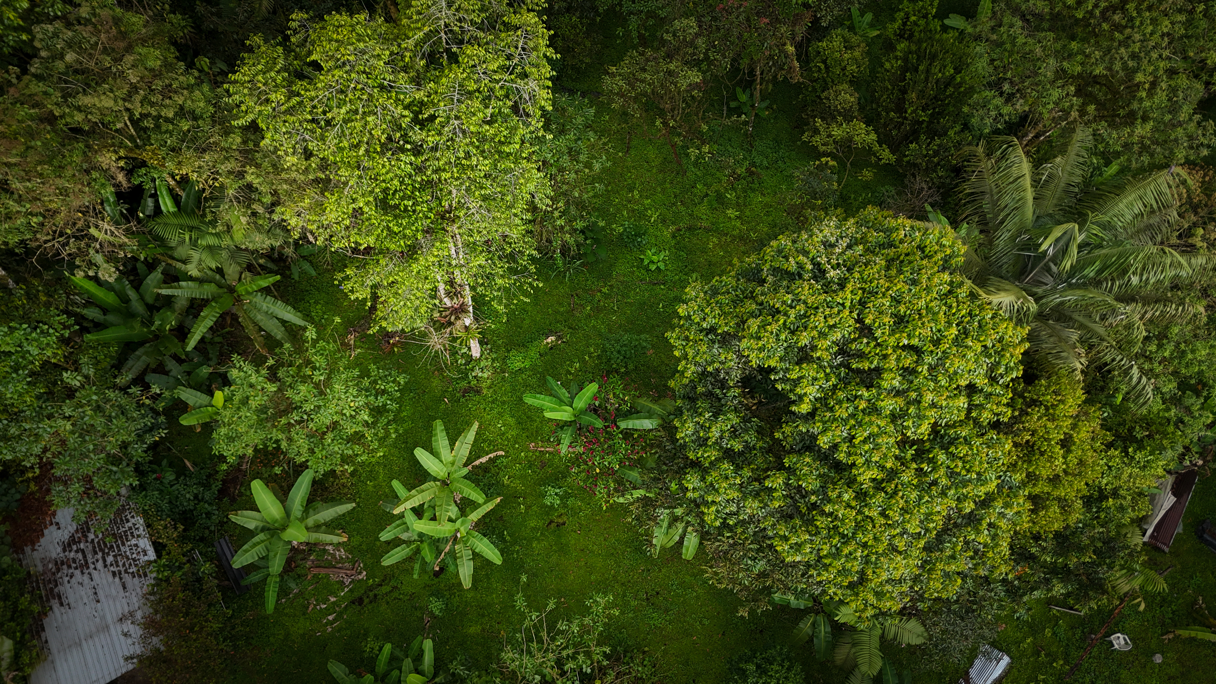 1,150 m² Land in Mindo – Road to the Waterfalls | Prime Tourist Location